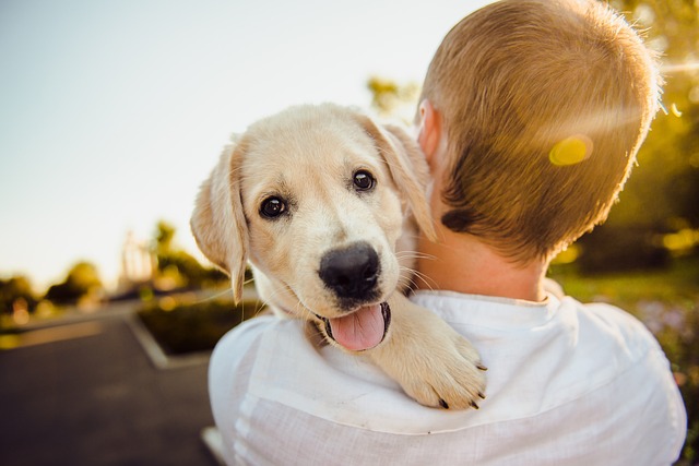 9-in-1 Dog Vaccine