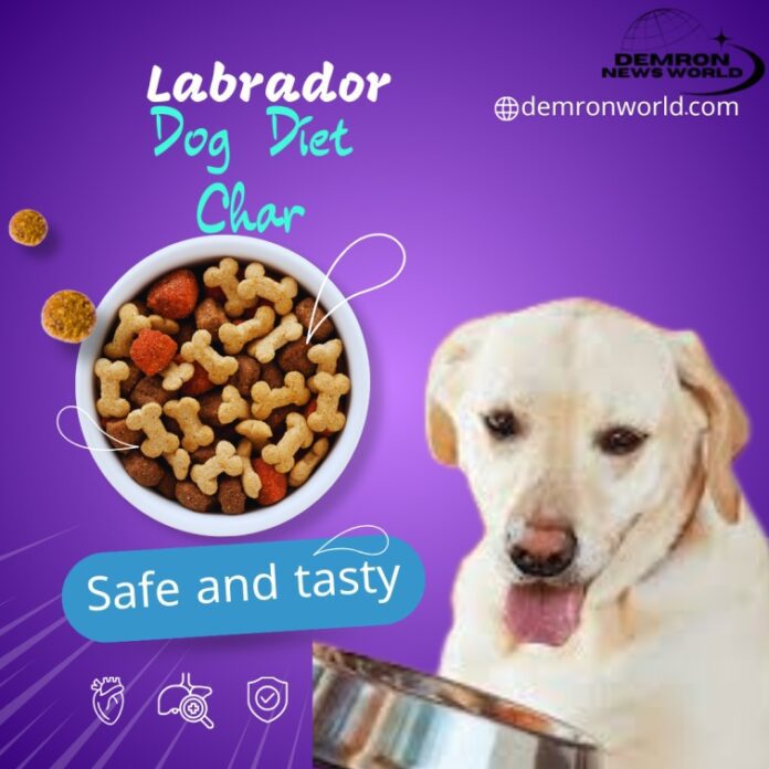 Labrador Dog Diet Chart