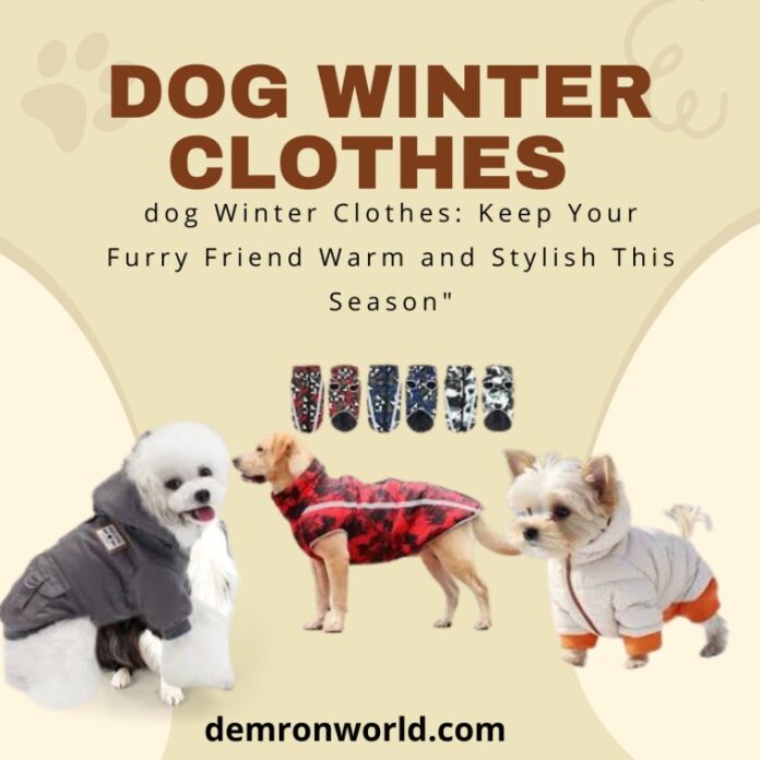 dog Winter Clothes