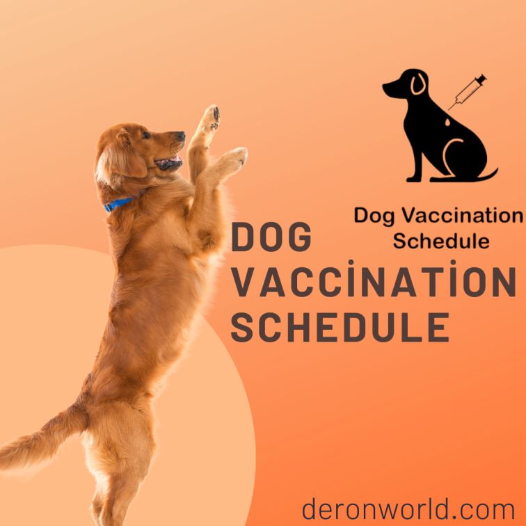 dog vaccination schedule