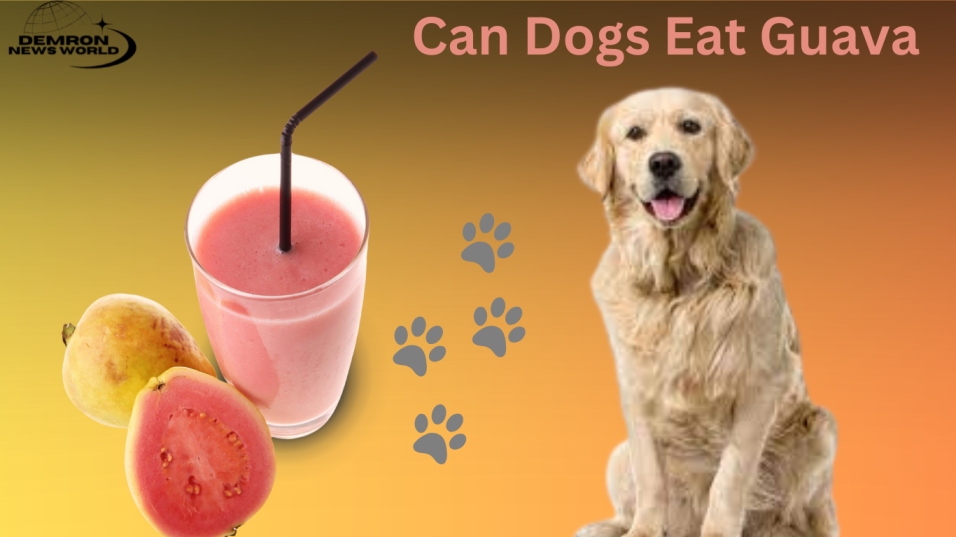 Can Dogs Eat Guava