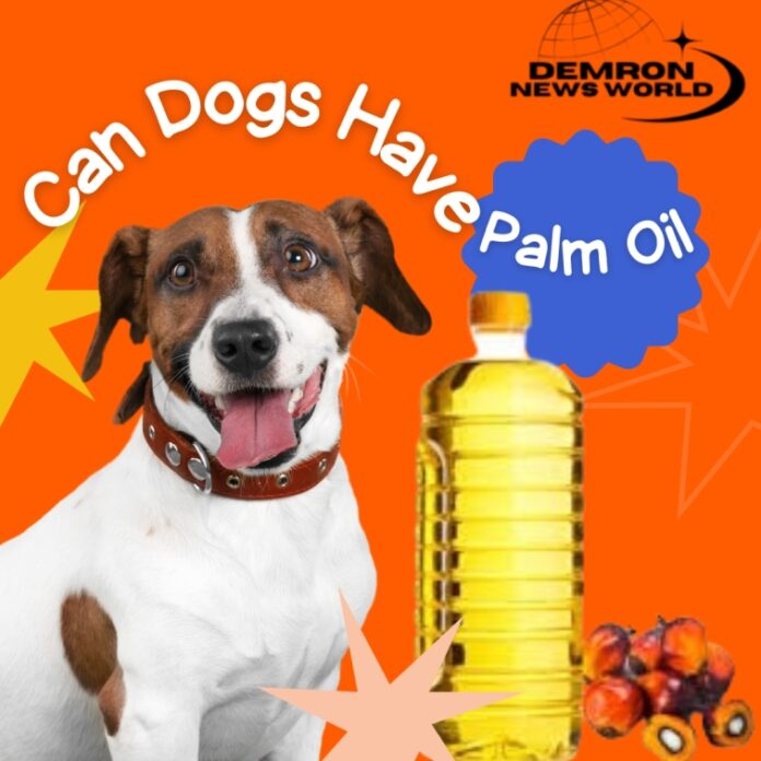 Can Dogs Have Palm Oil