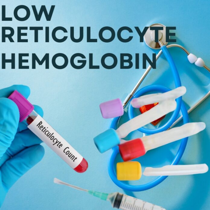 What Does Low Reticulocyte Hemoglobin Mean in Dogs