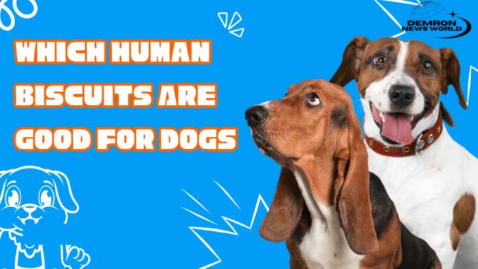 Which Human Biscuits Are Good for Dogs